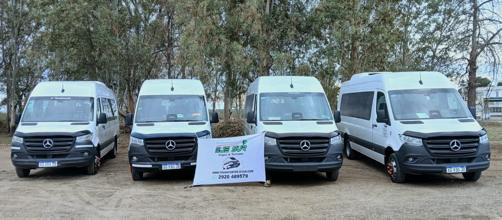 Flota real de minibuses Eje Sur
